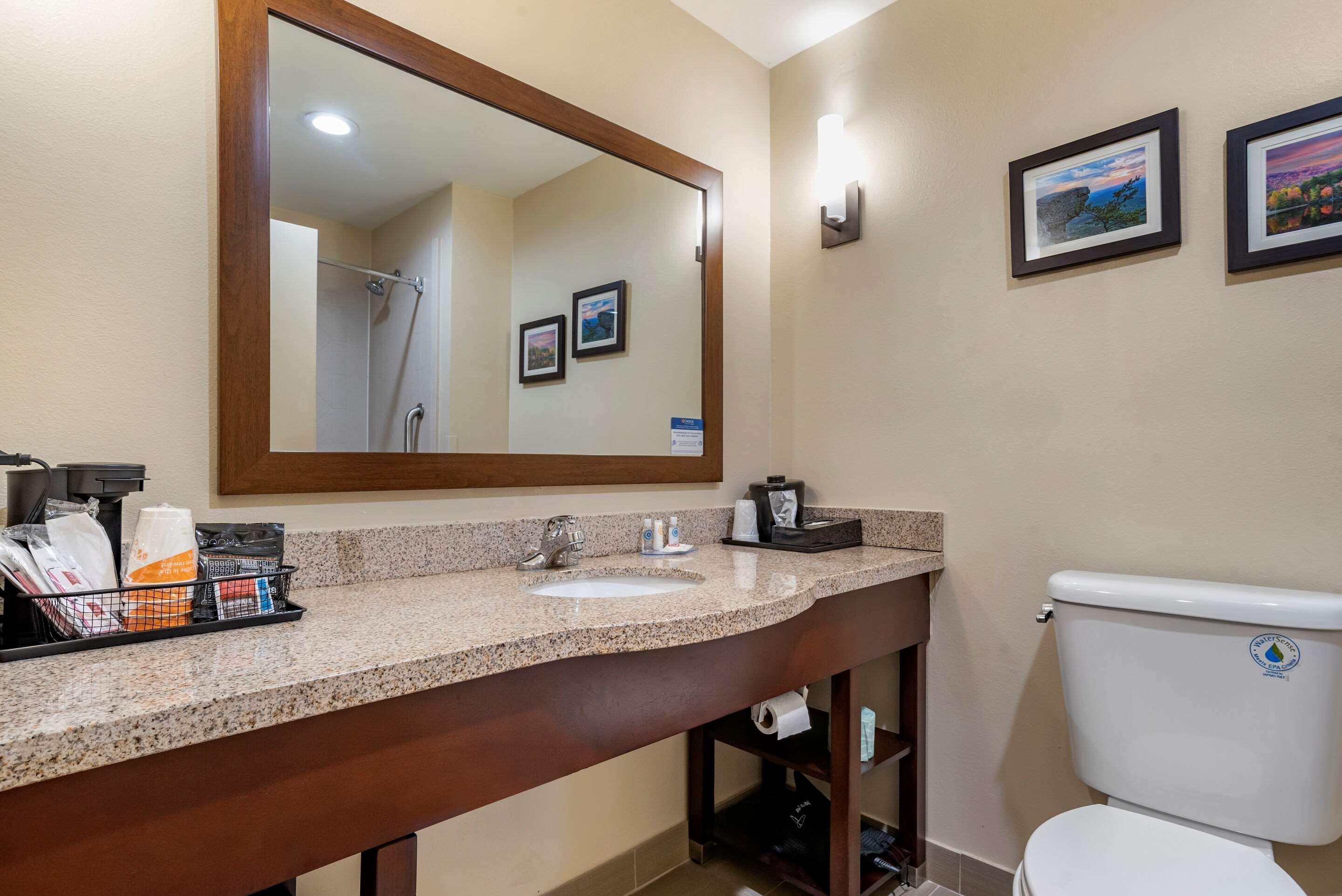 Comfort Suites Pell City I-20 Exit 158 Екстериор снимка