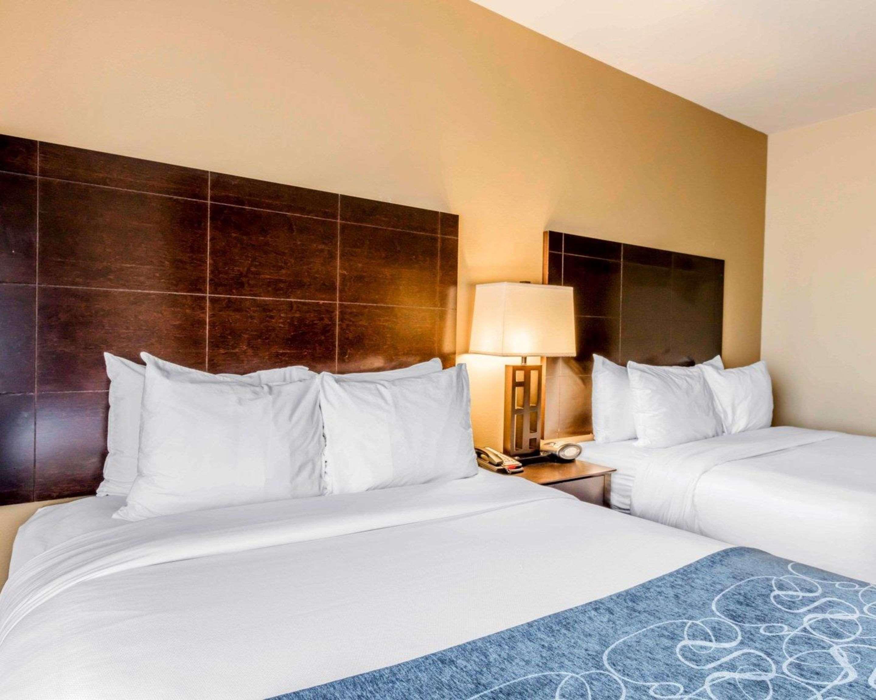 Comfort Suites Pell City I-20 Exit 158 Екстериор снимка