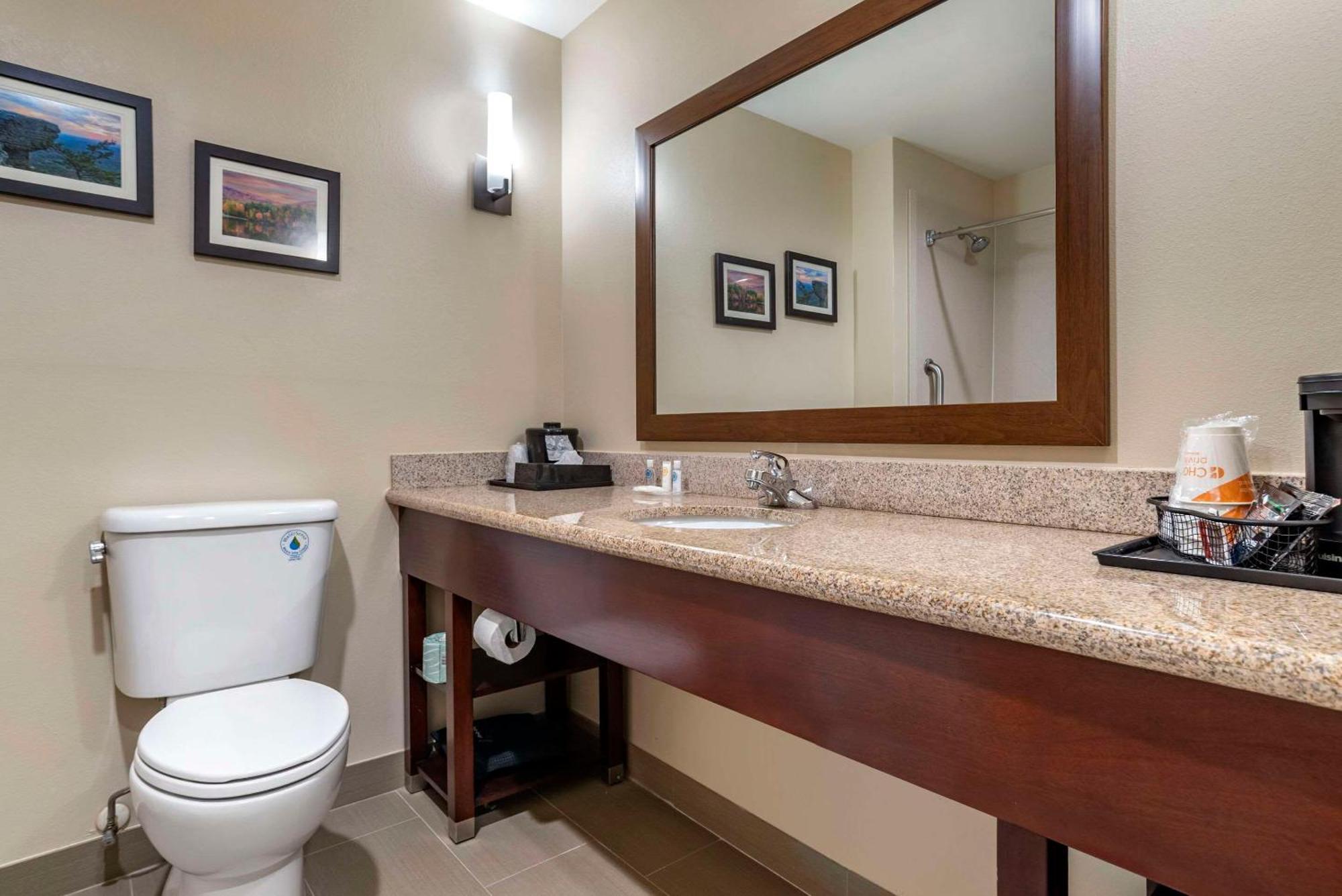 Comfort Suites Pell City I-20 Exit 158 Екстериор снимка