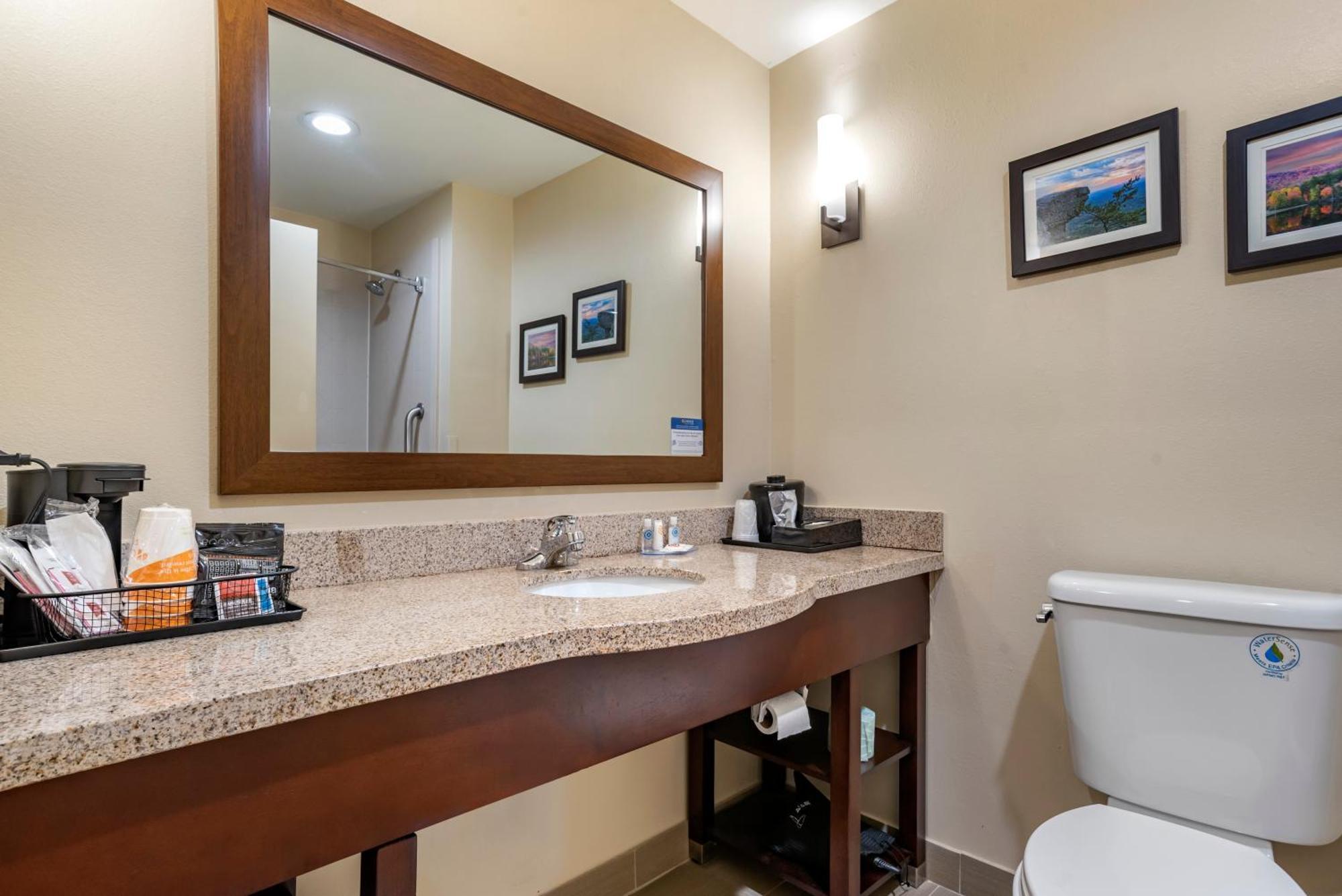 Comfort Suites Pell City I-20 Exit 158 Екстериор снимка